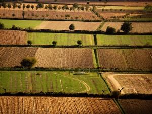 Stop alle costruzioni selvagge