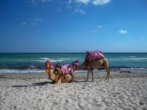 Viaggio in Tunisia