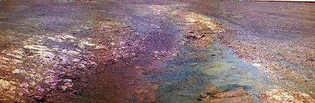 Opportunity, il singolare paesaggio del sol 3029