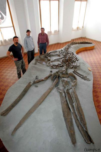 #dimentiGAMPS ? I 3500 di Badia a Settimo