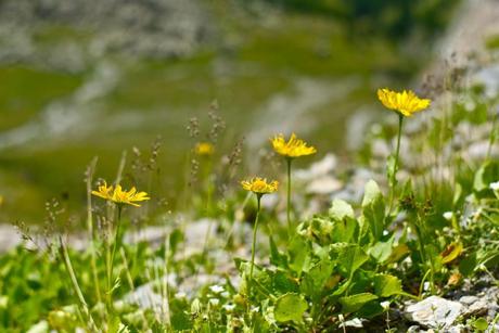 Photographs taken at high altitude : Colle Pinter