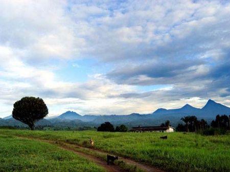 Parcvirunga_rtm