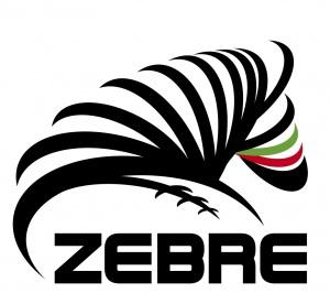 Zebre-Perpignan 33-5, cronaca e tabellino