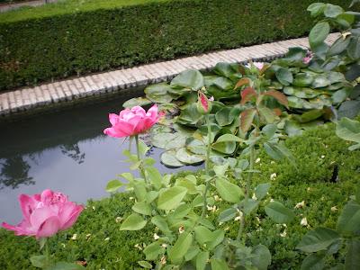 L'immersione dei sensi nell'Alhambra