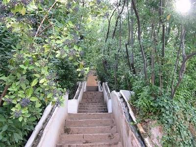 L'immersione dei sensi nell'Alhambra