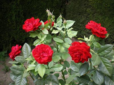 L'immersione dei sensi nell'Alhambra