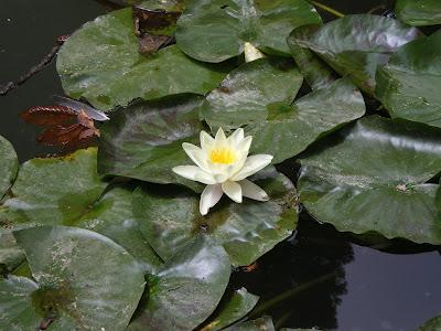 L'immersione dei sensi nell'Alhambra