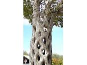 Albero Grigliato