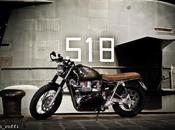 Triumph Black Pearl