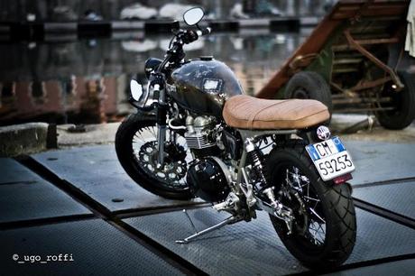 Triumph Black Pearl