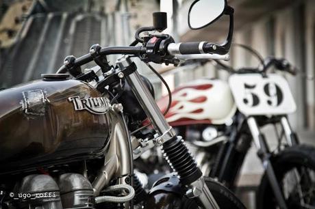 Triumph Black Pearl