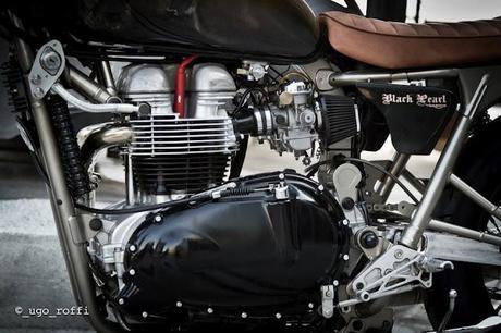 Triumph Black Pearl