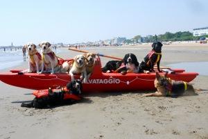 Spiaggia Magaggiari, esibizione di Cani da Salvataggio
