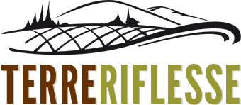 TerreRiflesse: a new collaboration for The Travel Eater dedicated to Vercelli