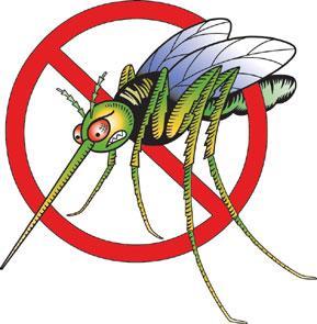 Rimedi contro le zanzare...