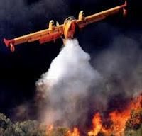 Gli incendi boschivi in Italia: le cause e il numero