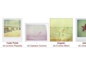 Foto della settimana