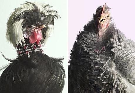 Le modelle sono così noiose...non è che avete un pollo?