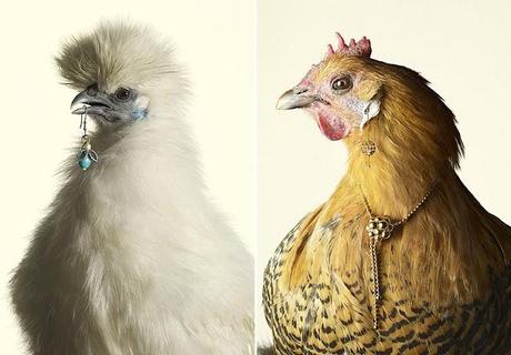 Le modelle sono così noiose...non è che avete un pollo?