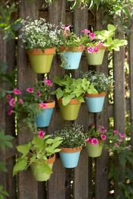go vertical on your fence or recycle a pallet and create a focal point in your landscape