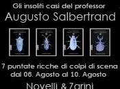 insoliti casi professor Augusto Salbertrand Novelli&amp;Zarini; ebook