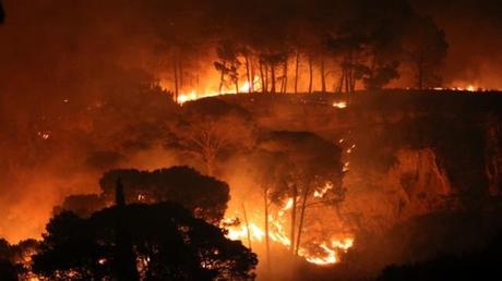 La Sicilia brucia, roghi immensi. In cenere un patrimonio immenso 