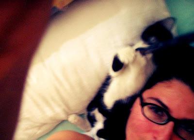 mettersi a proprio agio