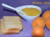 Curd all'albicocca