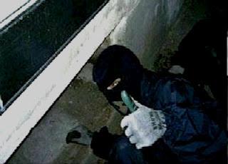 L'A.L.F. sei tu..? Ti riesci a riconoscere?