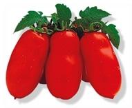 san marzano