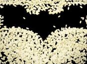 Dark Knight…Rice