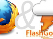 FlashGot 1.4.8