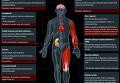 Sports doping: classification and effects