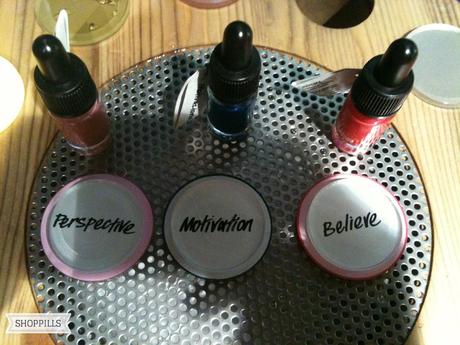 Lush Emotional Brilliance Wheel makeup rossetto