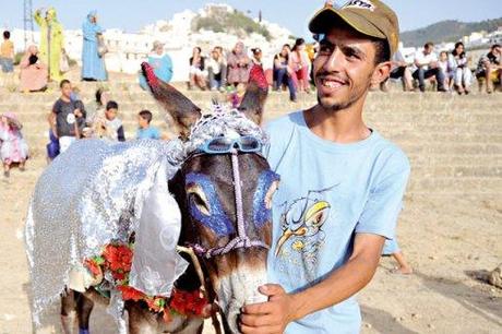 Festival degli Asini in Marocco