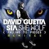 musica,video,testi,traduzioni,david guetta,video david guetta,testi david guetta,traduzioni david guetta,sia