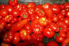 Cucina facile: come pelare i pomodori