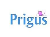 Prigus.it Acquisti vendite oggetti nuovi usati,gratis senza registrazione.