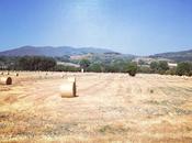 Tuscany