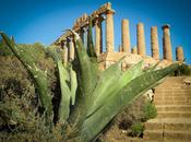 L’irrefrenabile voglia lasciare segno