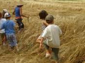 Extraterresti campagna