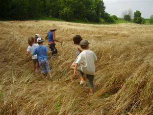 EXTRATERRESTI IN CAMPAGNA