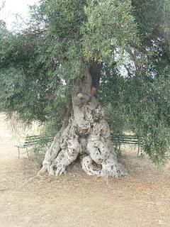 Ritorno dalle vacanze (Puglia)