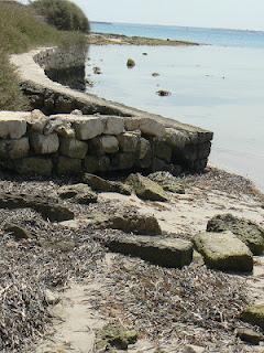 Ritorno dalle vacanze (Puglia)