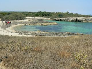 Ritorno dalle vacanze (Puglia)