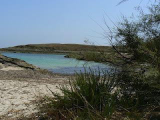 Ritorno dalle vacanze (Puglia)