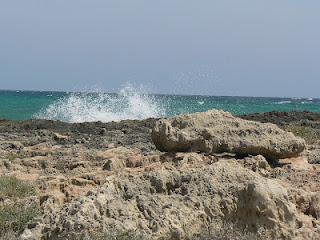 Ritorno dalle vacanze (Puglia)