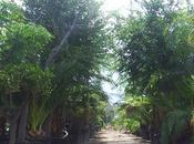 Appuntamenti GREEN Rendez-vous