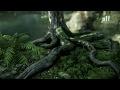 Crysis 3, nuovo trailer dimostrativo sul CryEngine 3