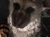 Sony "The Last Guardian stato cancellato"